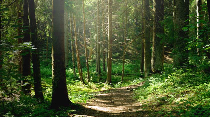 Élever l'ambition pour la nature