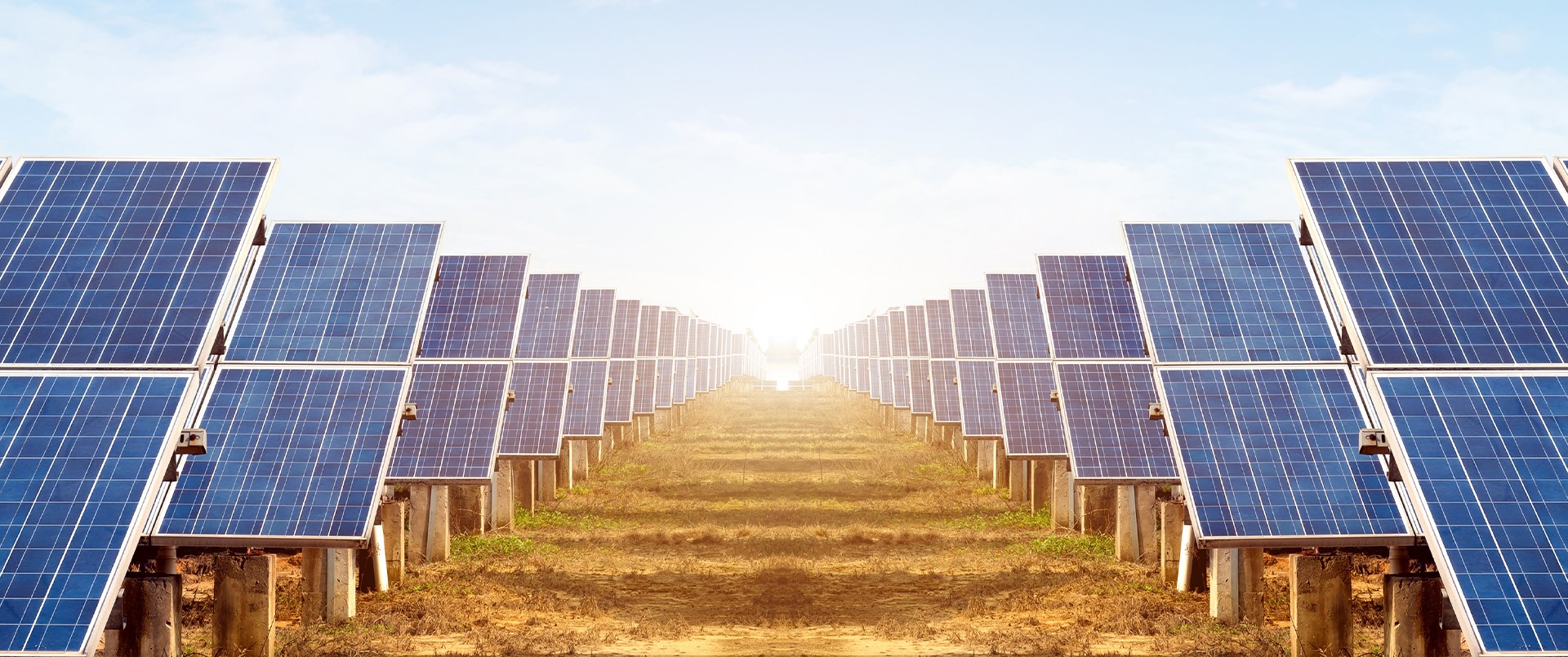 Two rows of solar panels under a warm atmosphere.