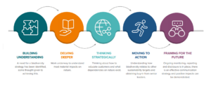 The 5 stages of the biodiversity roadmap.